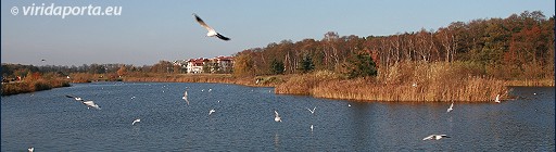 13. Fahrradtouren